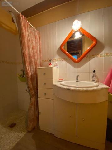 Maison à vendre à Jeu-Maloches dans l'Indre (36240), ref : 11832/2600