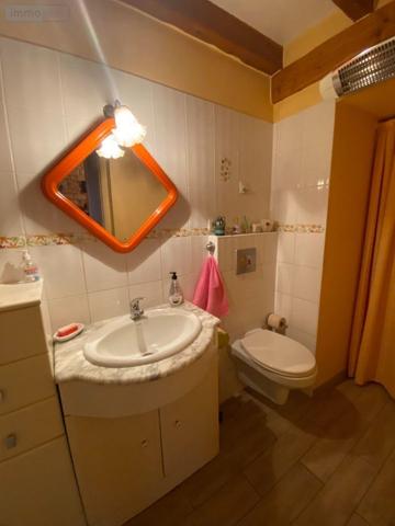 Maison à vendre à Jeu-Maloches dans l'Indre (36240), ref : 11832/2600