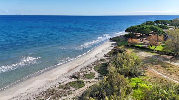 Appartement 1 pièce - 29 m² Exclusivité efficity