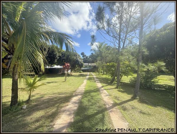 A VENDRE A KOUROU UNE CHARMANTE MAISON T5 EN BOIS DE 133 m² SUPERFICIE TERRAIN 9000 m² - AU PRIX DE 346 500 €.