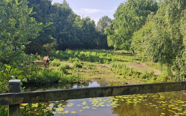 Maison à vendre    15 pièces •  Rocheservière