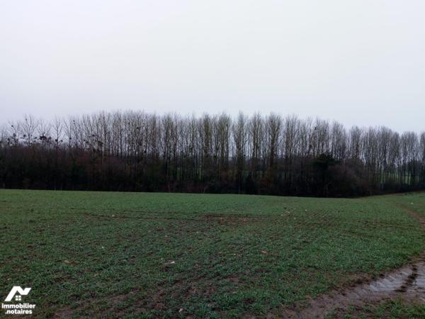 ACHAT : LOCAL DIVERS - St Pierre Sur Orthe - Mayenne (53)