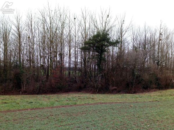 ACHAT : LOCAL DIVERS - St Pierre Sur Orthe - Mayenne (53)