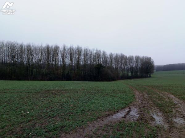 ACHAT : LOCAL DIVERS - St Pierre Sur Orthe - Mayenne (53)