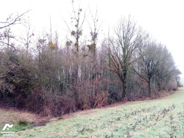 ACHAT : LOCAL DIVERS - St Pierre Sur Orthe - Mayenne (53)