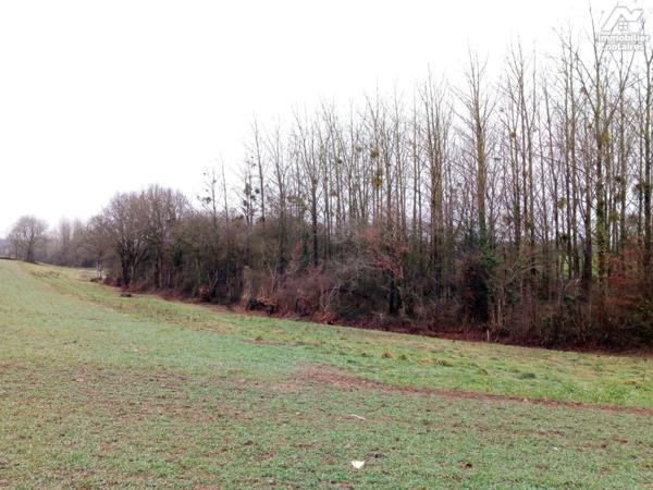 ACHAT : LOCAL DIVERS - St Pierre Sur Orthe - Mayenne (53)