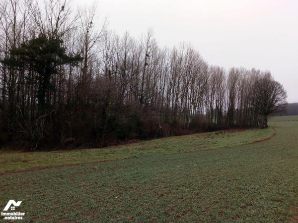 ACHAT : LOCAL DIVERS - St Pierre Sur Orthe - Mayenne (53)