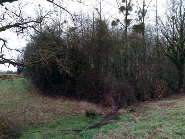 ACHAT : LOCAL DIVERS - St Pierre Sur Orthe - Mayenne (53)