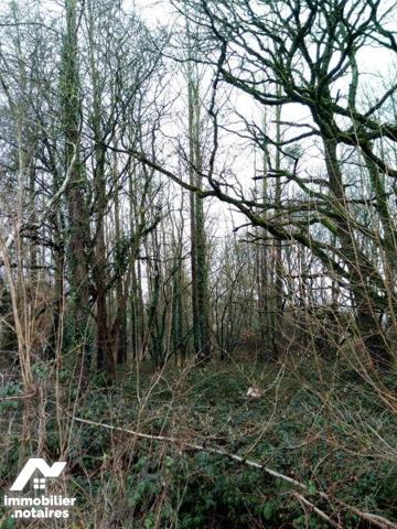 ACHAT : LOCAL DIVERS - St Pierre Sur Orthe - Mayenne (53)