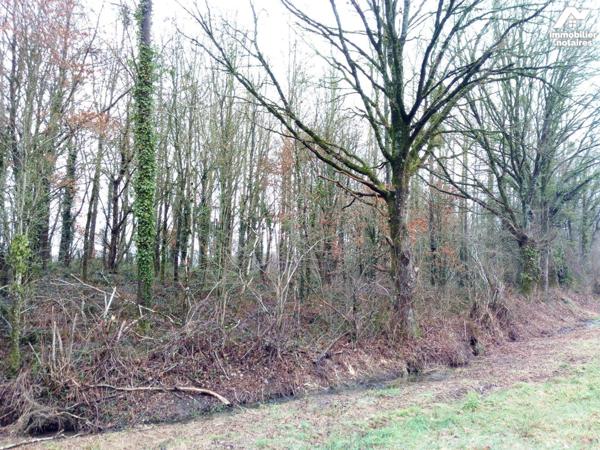 ACHAT : LOCAL DIVERS - St Pierre Sur Orthe - Mayenne (53)