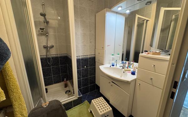 Appartement à louer    3 pièces •  Sainte-Foy-lès-Lyon