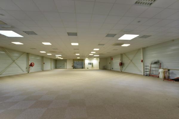 Vente murs / Local activité