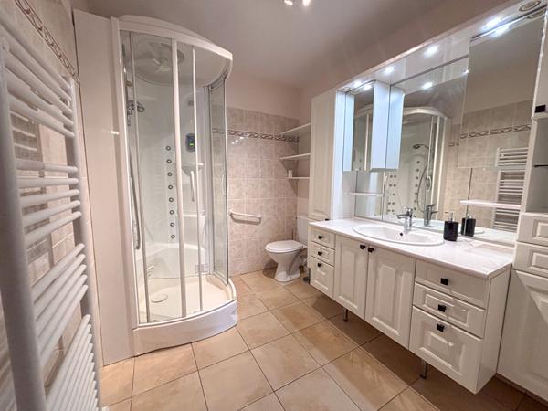 Appartement Chateau Gontier Sur Mayenne 5 pièce(s) 180 m2