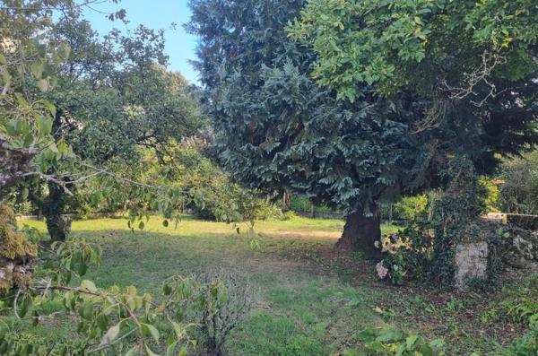 Maison à rénover avec jardin !