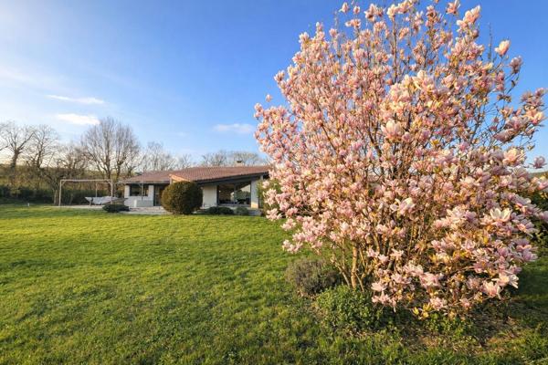 Villa de 125 m2 - 4 chambres de plain pied sur 3000 m2 de terrain arboré - Calme absolu