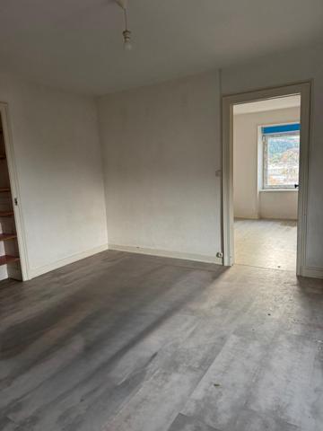 Appartement T2 lumineux à rénover- Quartier prisé