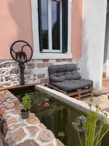 Vente / Maison et grand terrain