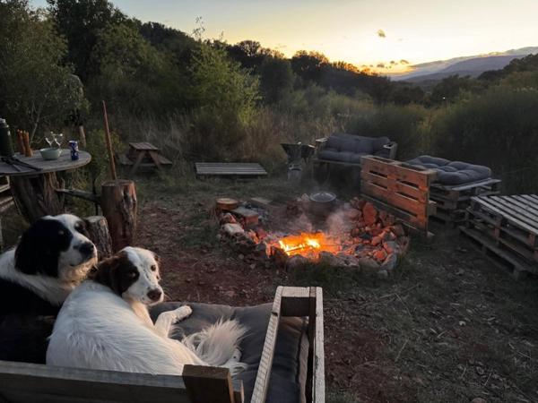 Vente / Maison et grand terrain