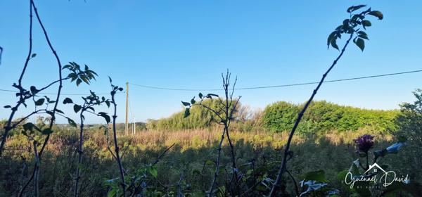 ENSEMBLE IMMOBILIER AU CALME, A RÉHABILITER