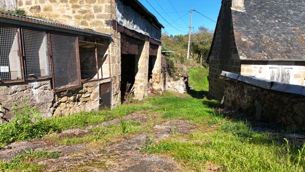 Corps de ferme en pierres à rénover à Malemort - Maison, granges, 5000 m² de terrain