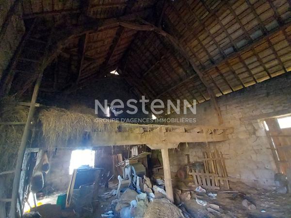Corps de ferme en pierres à rénover à Malemort - Maison, granges, 5000 m² de terrain