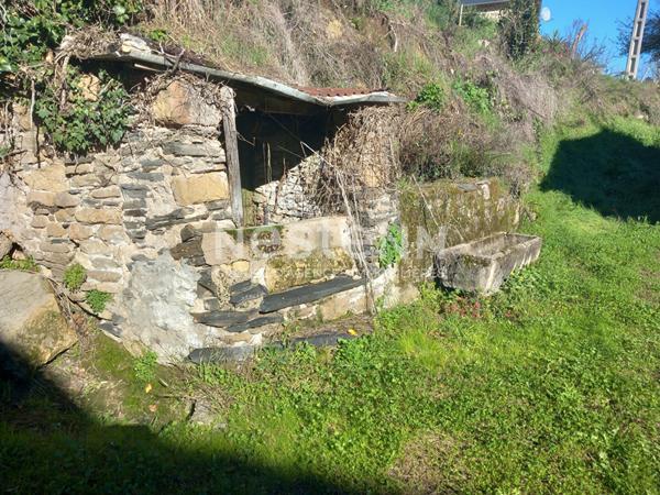Corps de ferme en pierres à rénover à Malemort - Maison, granges, 5000 m² de terrain