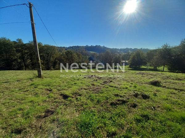 Corps de ferme en pierres à rénover à Malemort - Maison, granges, 5000 m² de terrain