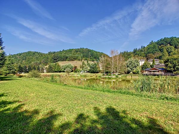 Chalet avec étang en Corrèze à vendre - 2 chambres -SPA- 1,6 ha de terrain- étang