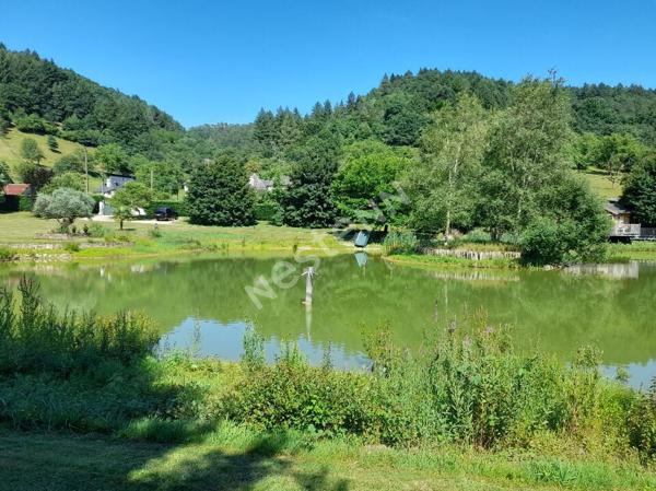 Chalet avec étang en Corrèze à vendre - 2 chambres -SPA- 1,6 ha de terrain- étang