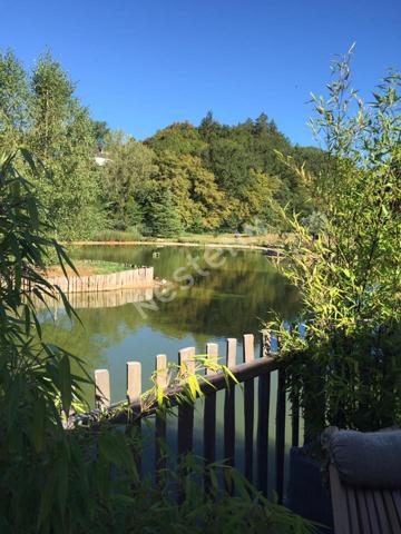 Chalet avec étang en Corrèze à vendre - 2 chambres -SPA- 1,6 ha de terrain- étang