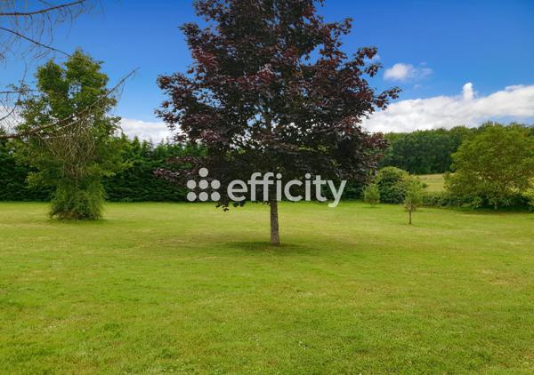 Maison 6 pièces - 176 m² Exclusivité efficity