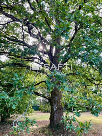 Maison 196 m2 5 Chambres sur 12300 m2 de terrain