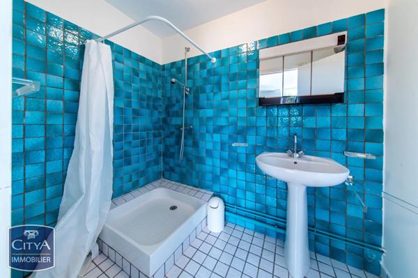 Maison à vendre 10 pièces 338m² La Villedieu-du-Clain (86340)