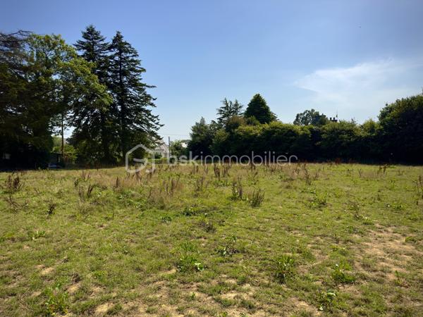 Terrain de 1 750 m²