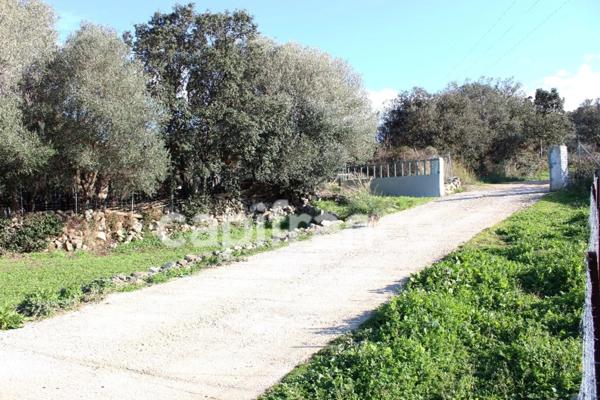 EXCLUSIVITE : Proche de L'ILE ROUSSE, Plaine du Reginu, propriété en pierres T5 158 m² sur 1.96 ha de terrain