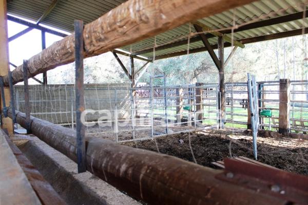 EXCLUSIVITE : Proche de L'ILE ROUSSE, Plaine du Reginu, propriété en pierres T5 158 m² sur 1.96 ha de terrain