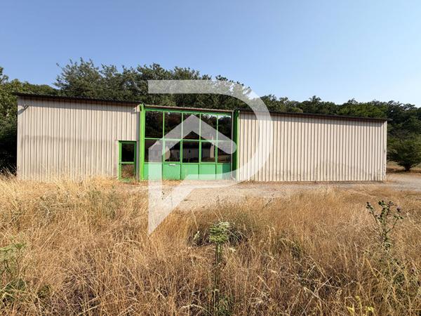 Local d'activité 460 m2