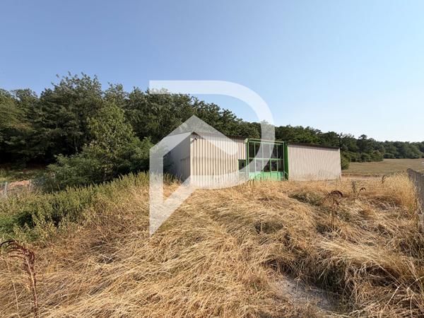 Local d'activité 460 m2