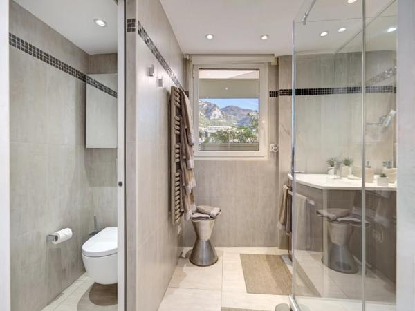 Magnifique penthouse avec vue sur Monaco