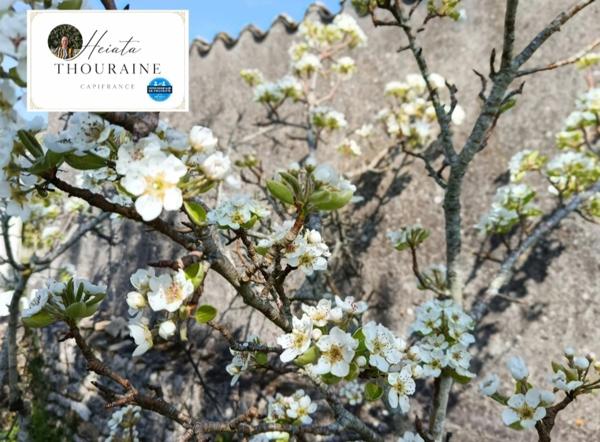 Maison à vendre 9 pièces NANTEUIL (79)