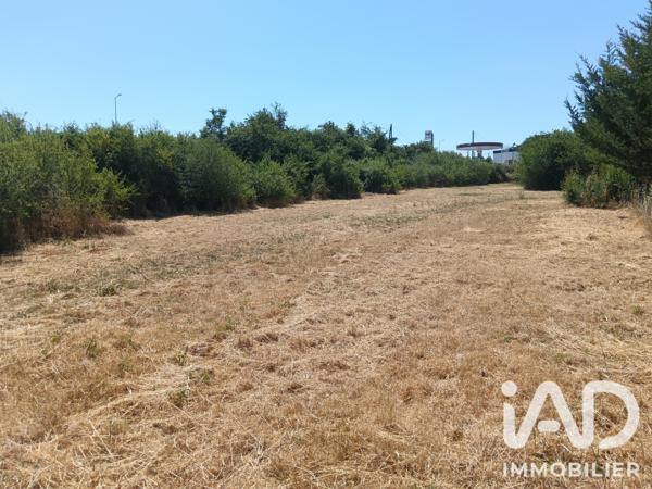 Terrain à vendre 1 200 m² Saint-Jean-de-Thouars
