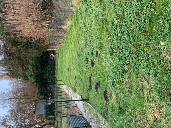 Maison 4 pièces - 70 m² Exclusivité efficity