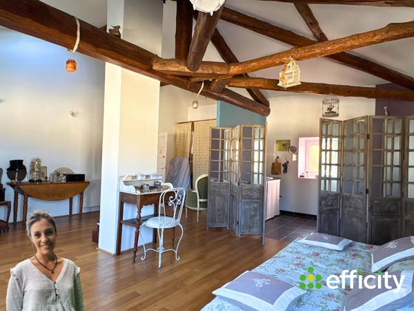 Appartement 6 pièces - 174 m² Exclusivité efficity
