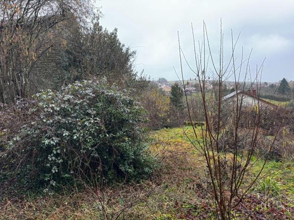 Maison de ville avec dépendances , terrain