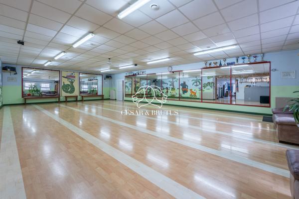 Ensemble immobilier avec maison, terrasse et local commercial quartier du port