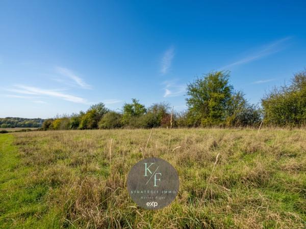 ✨Idéale pour les amoureux des chevaux ✨