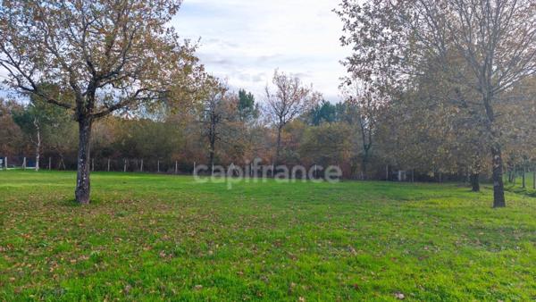 Maison à vendre 4 pièces MIOS (33)