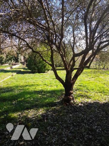 VENTE MAISON INDIVIDUELLE - AUCH