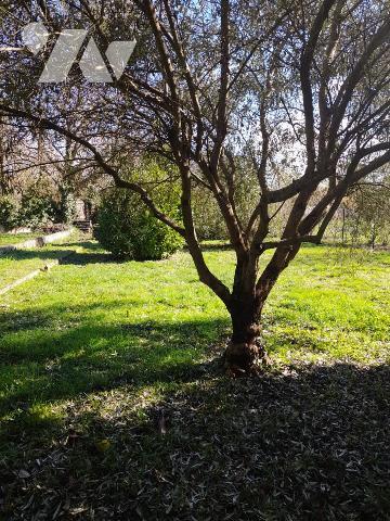 VENTE MAISON INDIVIDUELLE - AUCH