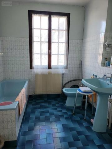 Maison à vendre à Châteauneuf-sur-Cher dans le Cher (18190), ref : 11087071CA